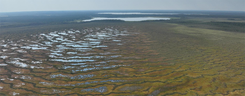 Ilmakuva laajasta suoalueesta aurinkoisena päivänä. Osa suosta on hyvin vetistä ja osa kuivaa. Kauempana siintää pieniä järviä.