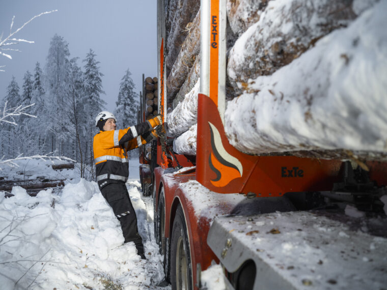Henkil&ouml; puuauton vieress&auml; kirist&auml;&auml; vaijereita lumisessa mets&auml;ss&auml;.