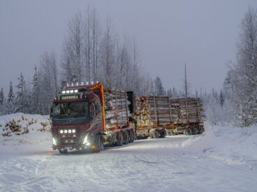 Puutavara-autoyhdistelmä täydessä lastissa lumisesa maastossa.