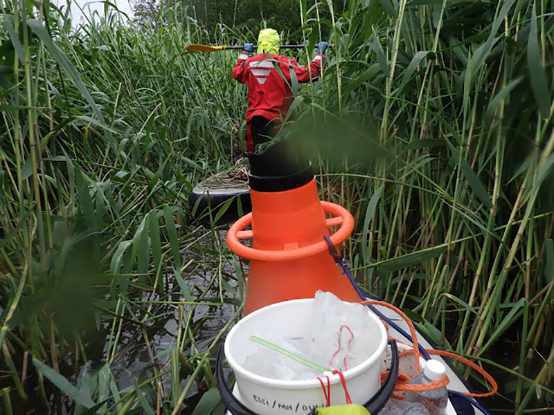 Henkilö pelastautumispuvussa SUP-laudan päällä taistelee tietään tiheän järviruovikon läpi.