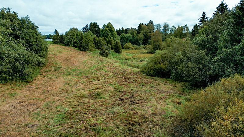 Kumpuileva, niitetty niitty.