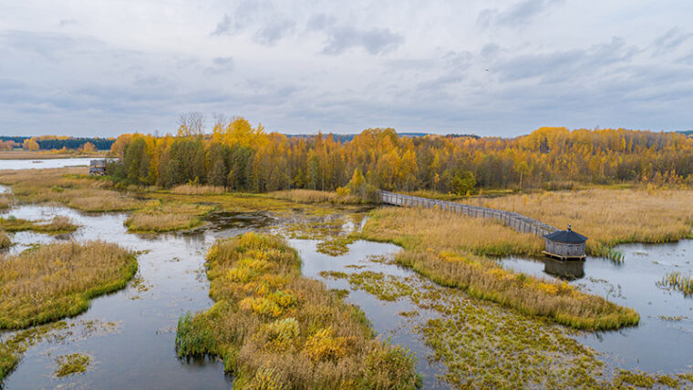 Ilmakuvassa kosteikkoa, jossa on vettä ja saarekkeita. Maastossa on myös tarkkailukoju ja sinne johtava pitkospolku.