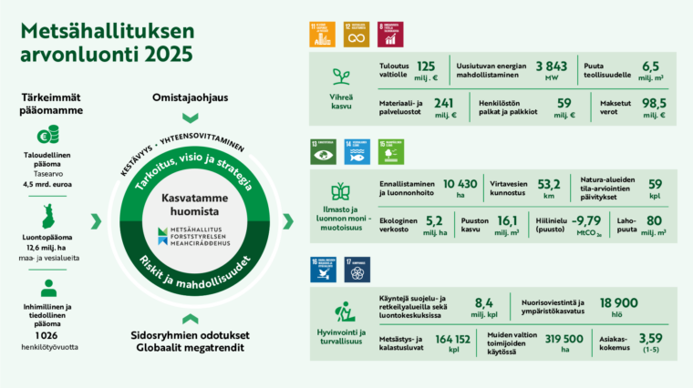Metsähallituksen arvonluontimalli vuodelta 2025, piirroskaavio.