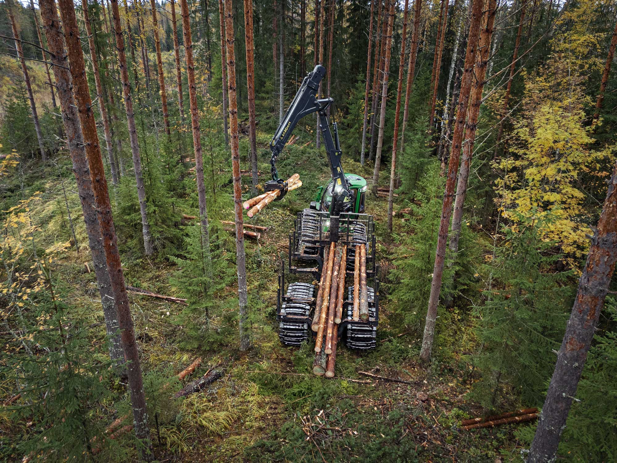 Metsätraktori kuormaa puita mäntymetsässä.