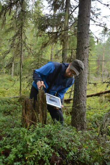 Henkilö tietokone kädessään katselee metsässä kantoa ja etsii lajeja.