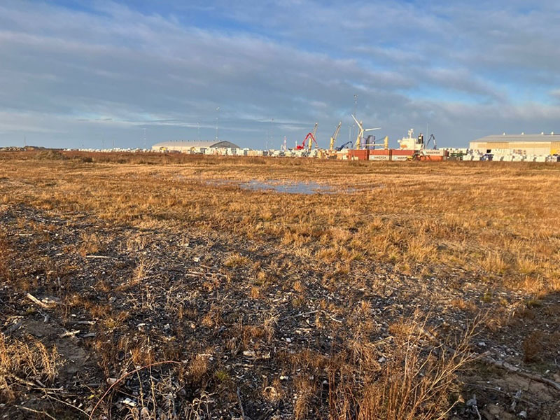 Suuri alue syksyn kellastamaa lyhytkasvuista heinikkoa ja ruohikkoa. Taustalla on teollisuusrakennuksia ja nostureita.