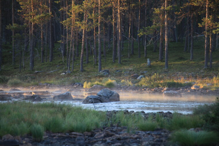 Matala joki, jonka yll&auml; leijailee usvaa.