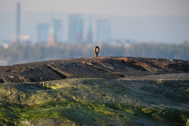 Rengas kalliossa taustallaan sumea kaupunginsiluetti.