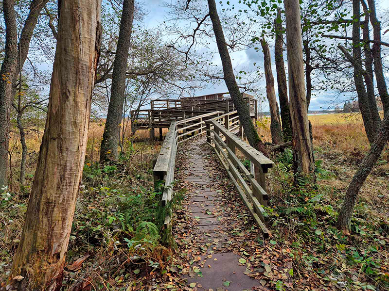 En träspång som leder till bryggan, med räcken på båda sidor.
