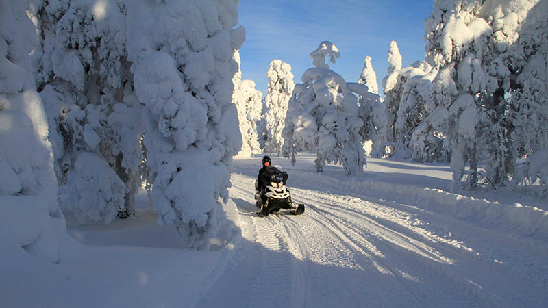 Moottorikelkkailija tykkymetsässä moottorikelkkauralla.