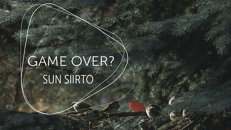 Kuvassa teksti GAME OVER? SUN SIIRTO sekä lintuja havupuun oksalla.