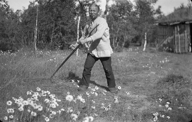 Mustavalkoisessa valokuvassa mies niittää viikatteella niittyä.