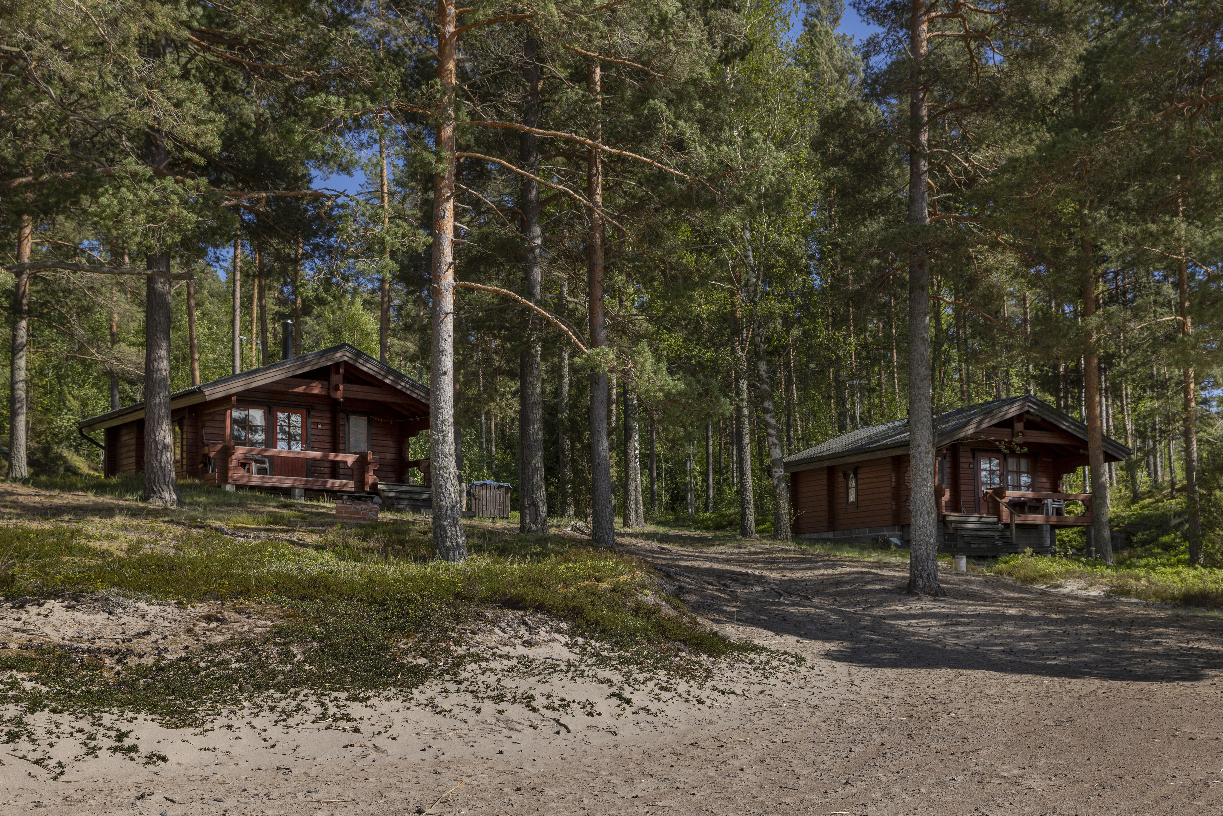 Tv&aring; stugor i en tallskog vid en sandstrand.