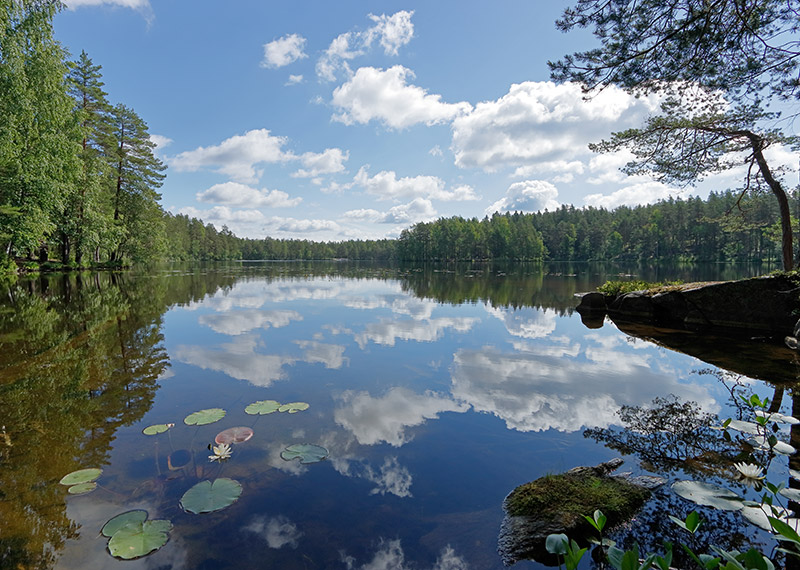 Kesäinen järvimaisema. Pilvet heijastuvat järven pintaan ja rannoilla on metsää.