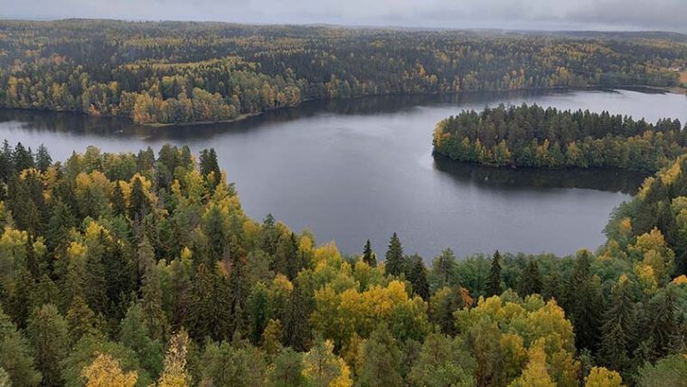 Syksyinen ilmakuva järvi- ja metsämaisemasta.