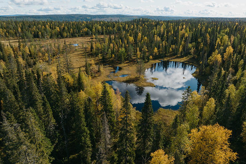 Ilmakuva syksyisestä maisemasta, jossa on lampia, metsää ja suota.