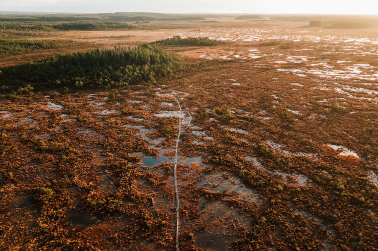 Ilmasta kuvattu laaja suoalue. Keskellä on pitkospuut.