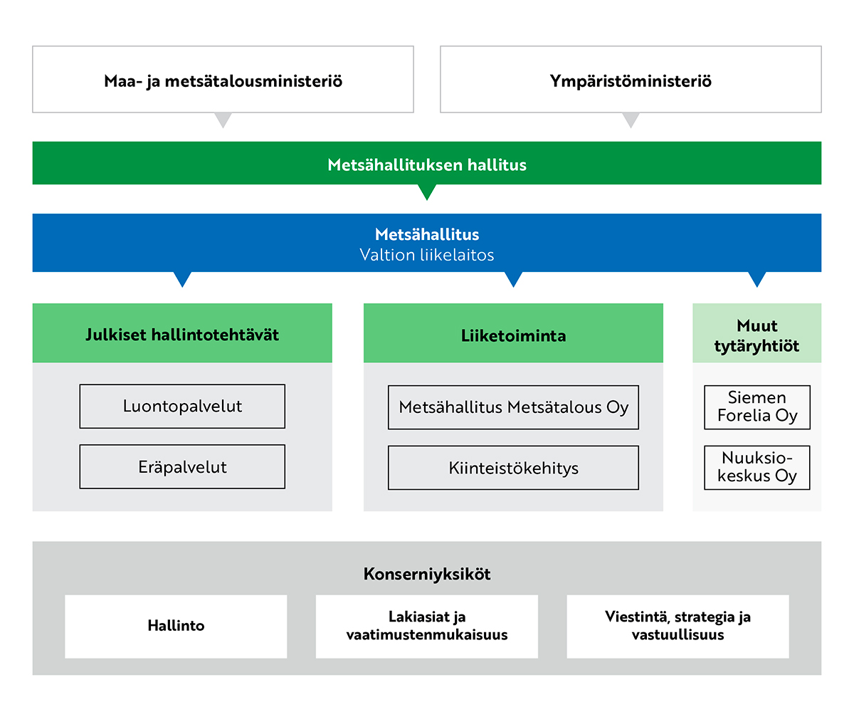 Metsähallituksen organisaatiokaavio.