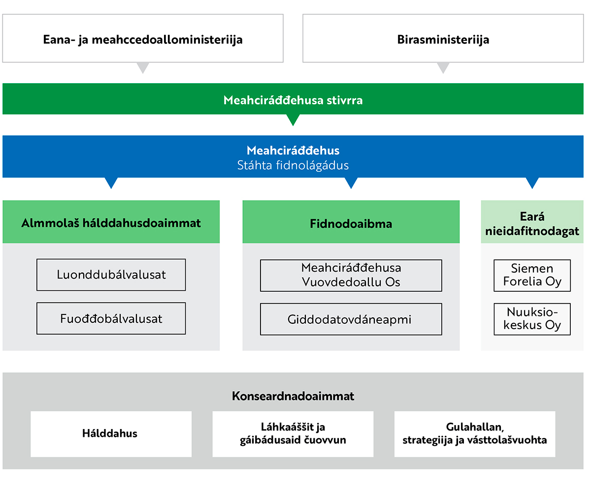 Saamenkielinen Metsähallituksen organisaatiokaavio.