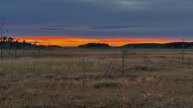 Auringonlasku suolla.
